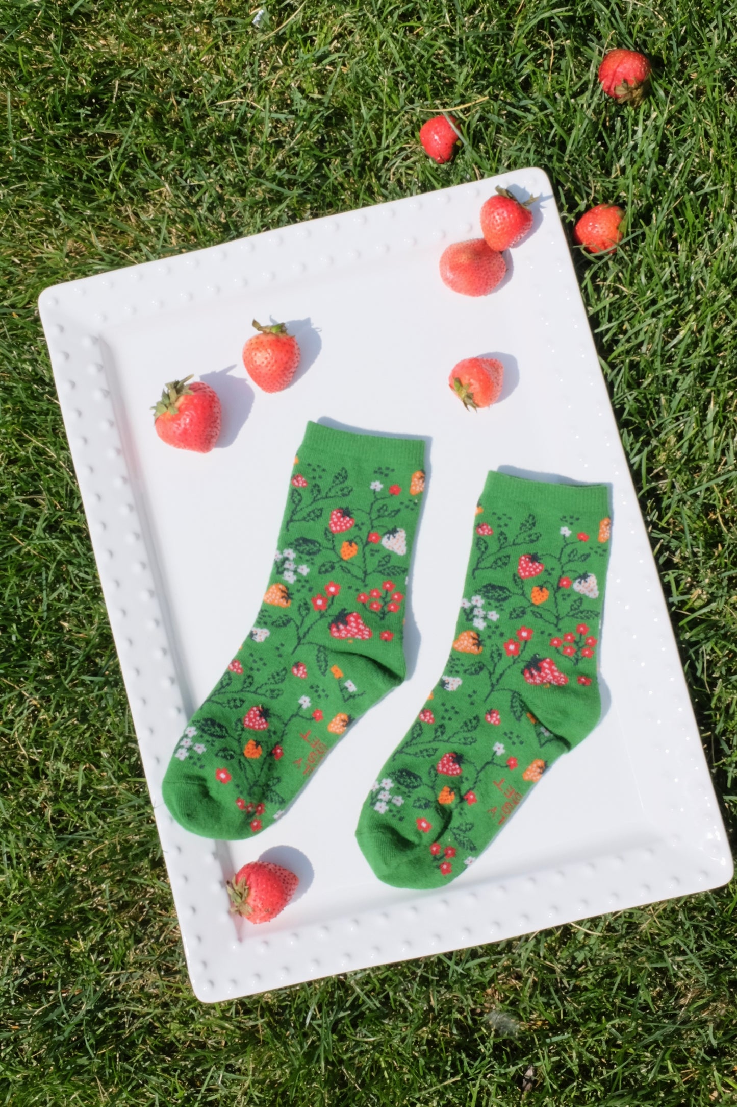 Strawberry Wonderland