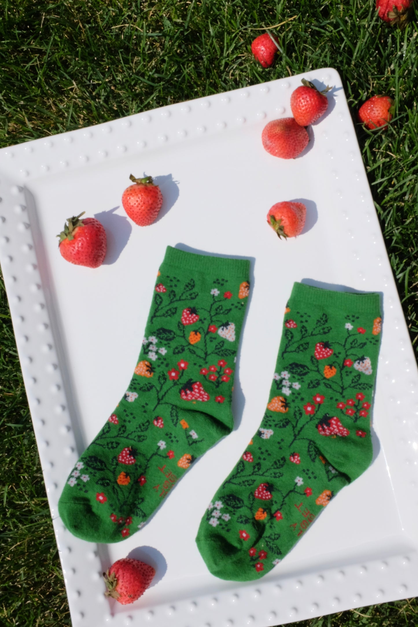 Strawberry Wonderland