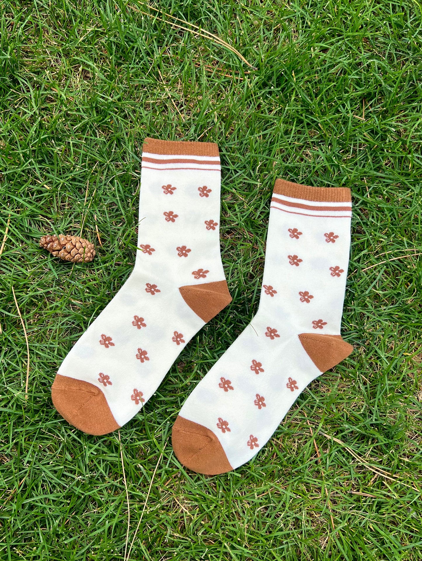 Autumn Brownies- WHOLESALE