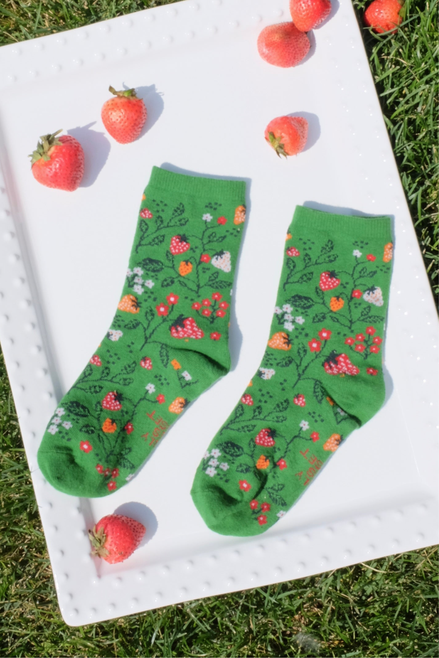 Strawberry Wonderland