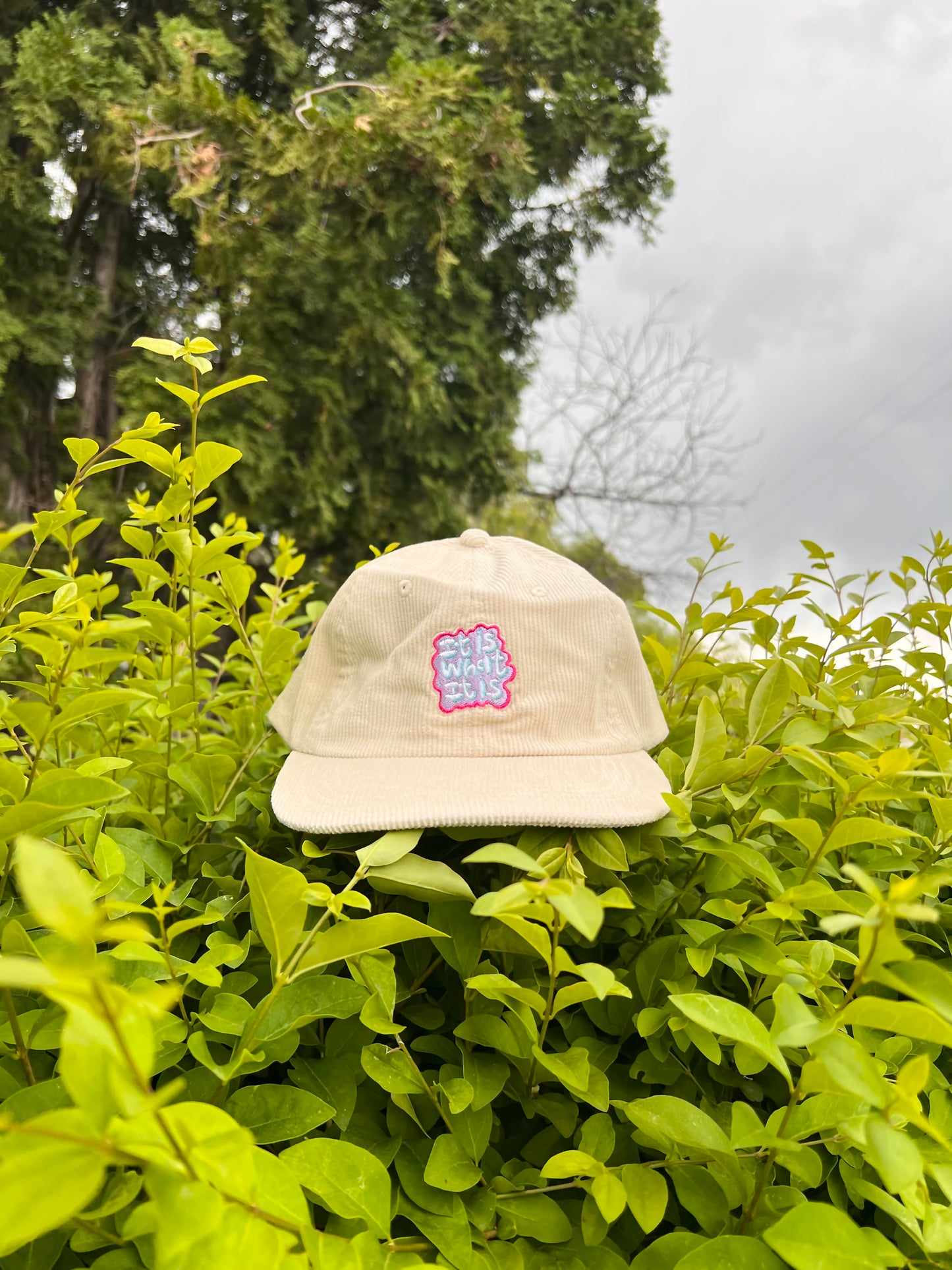 It is what it is - Corduroy Hat