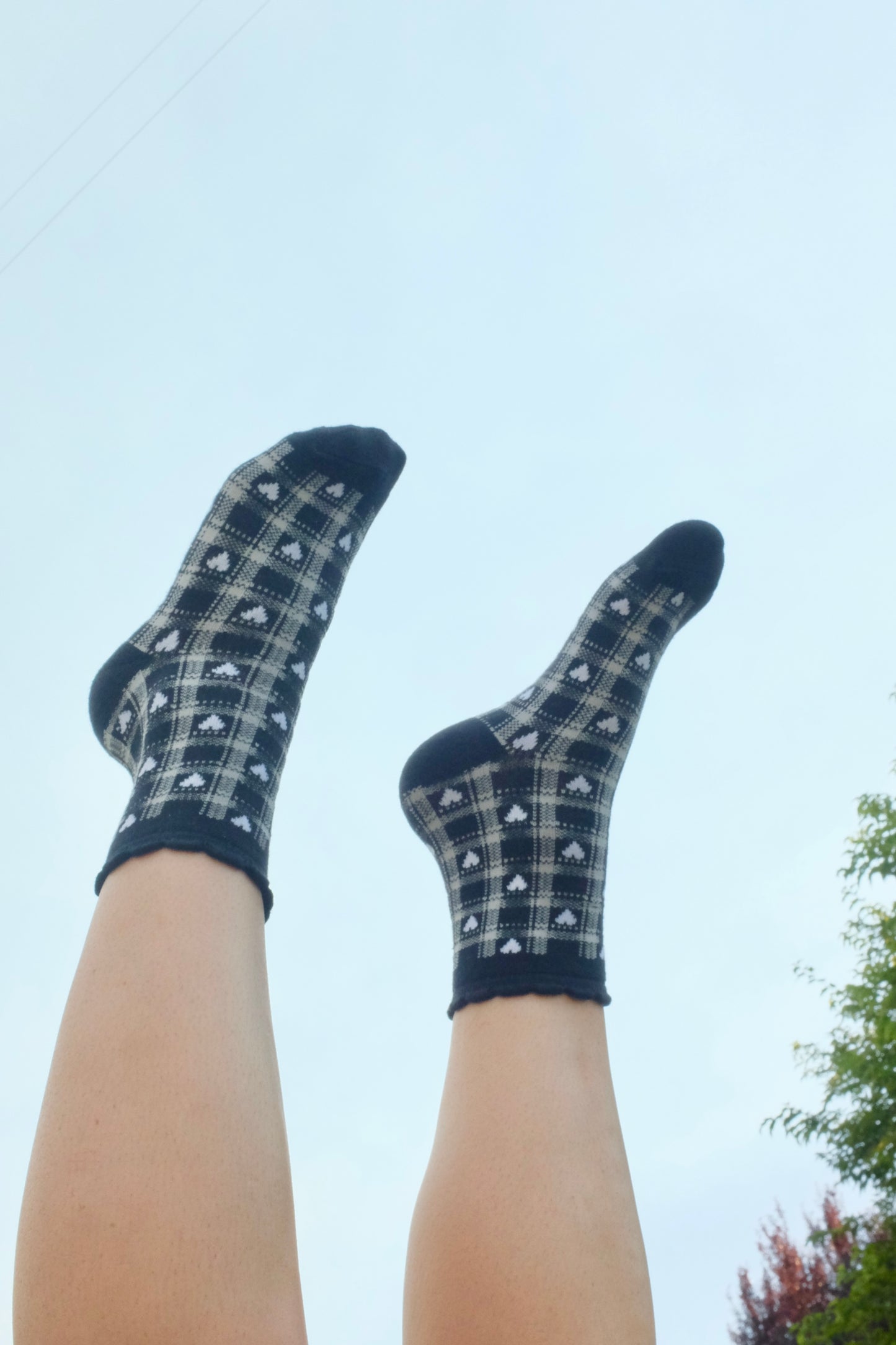 Rebel Hearts