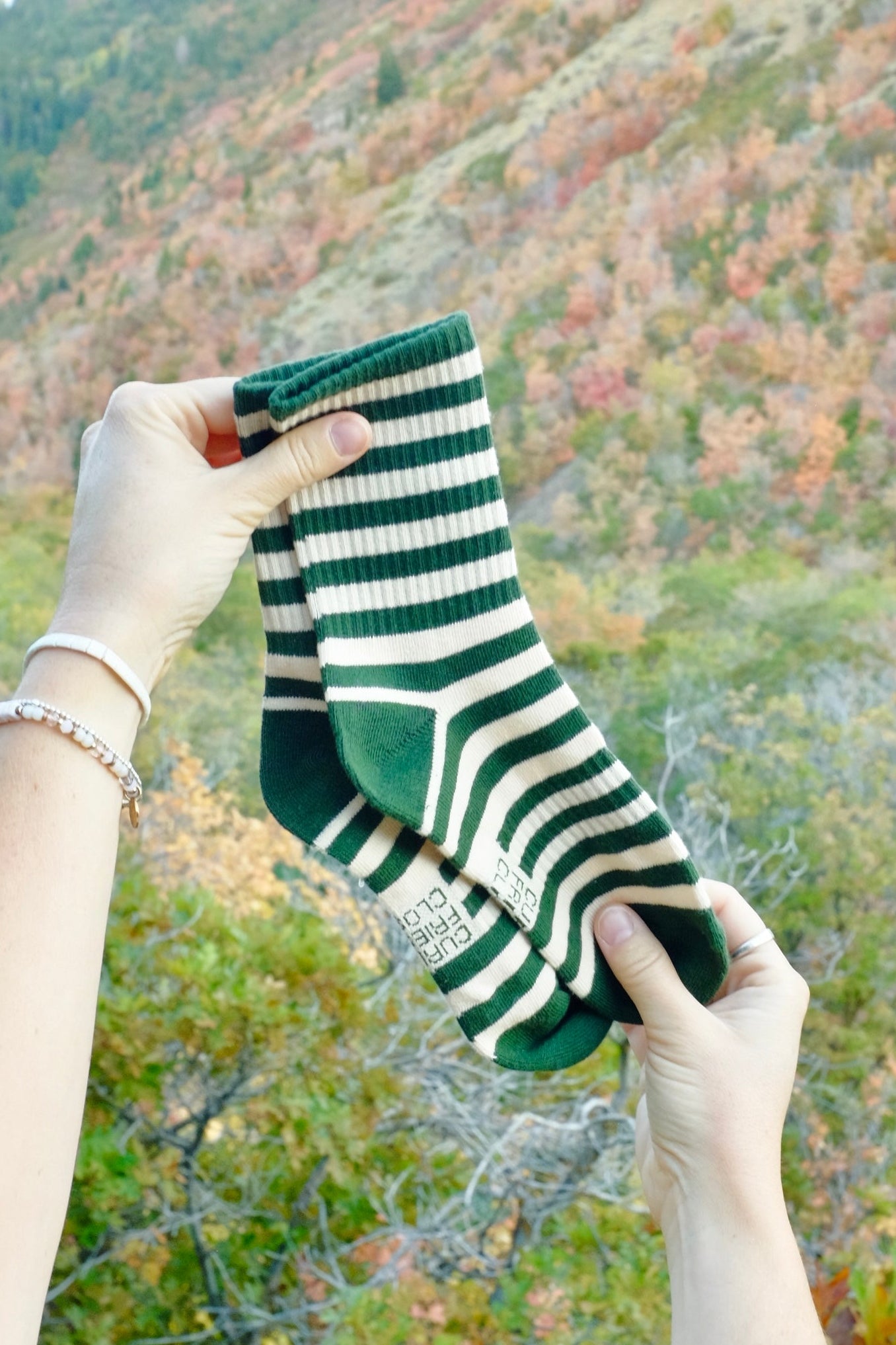 Classic Stripes (5 colors)