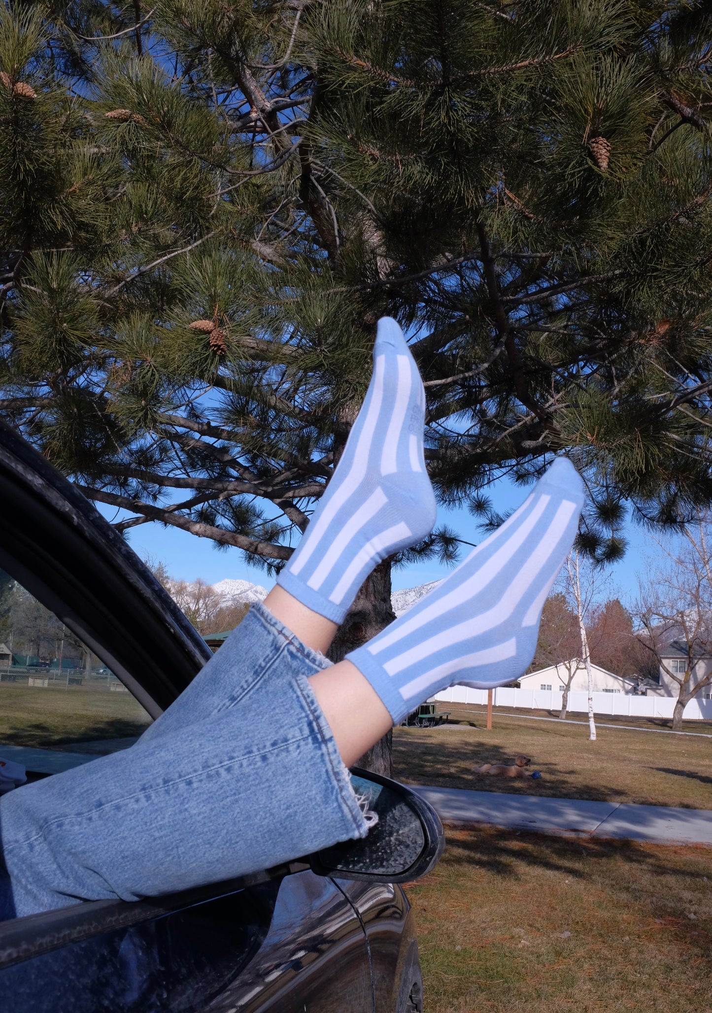 The Blue Waldo’s - Socks