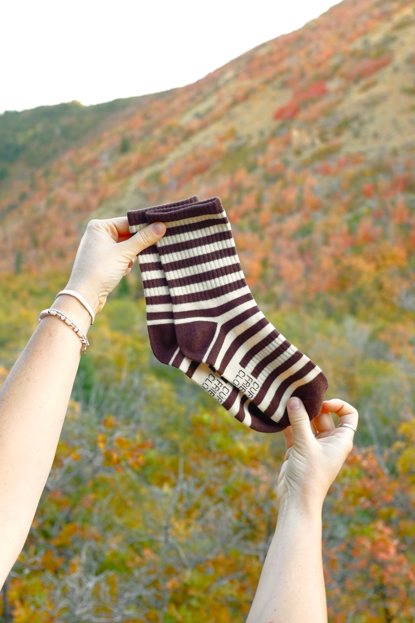 CLASSIC STRIPES